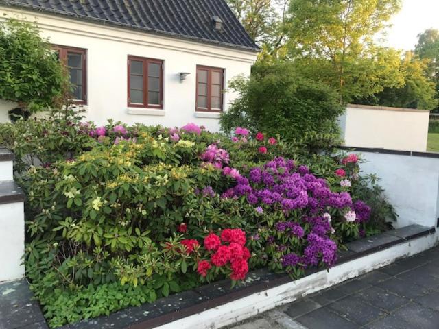 Dreamcenter Ballerup Boulevard エクステリア 写真