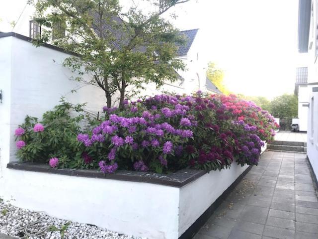 Dreamcenter Ballerup Boulevard エクステリア 写真